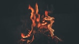 Bright orange and yellow flames rise against a dark background, creating a sense of warmth and energy. The fire flickers and dances, with tendrils of flame twisting and curling.