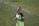 A person wearing a bright green soccer jersey is standing on a grass field. They are holding a red and black water bottle in their left hand. The jersey has a Microsoft logo and a patch on the sleeve. The background shows a grassy area with a white boundary line.