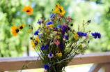 Vibrant mixed flower bouquet with wildflowers and greenery against a neutral background.