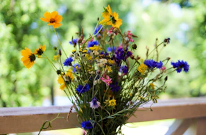 Vibrant mixed flower bouquet with wildflowers and greenery against a neutral background.