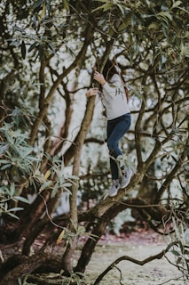A person wearing a white shirt and jeans is climbing a tree surrounded by dense green foliage. The person is mid-way up the tree, holding onto a branch, with one foot firmly placed on another branch.