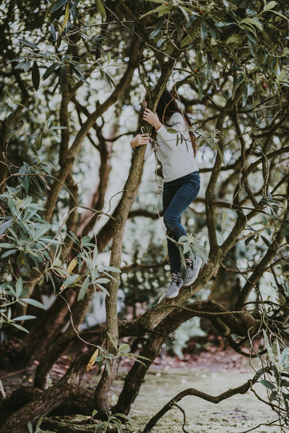木の幹の上の女性のチルトシフト写真