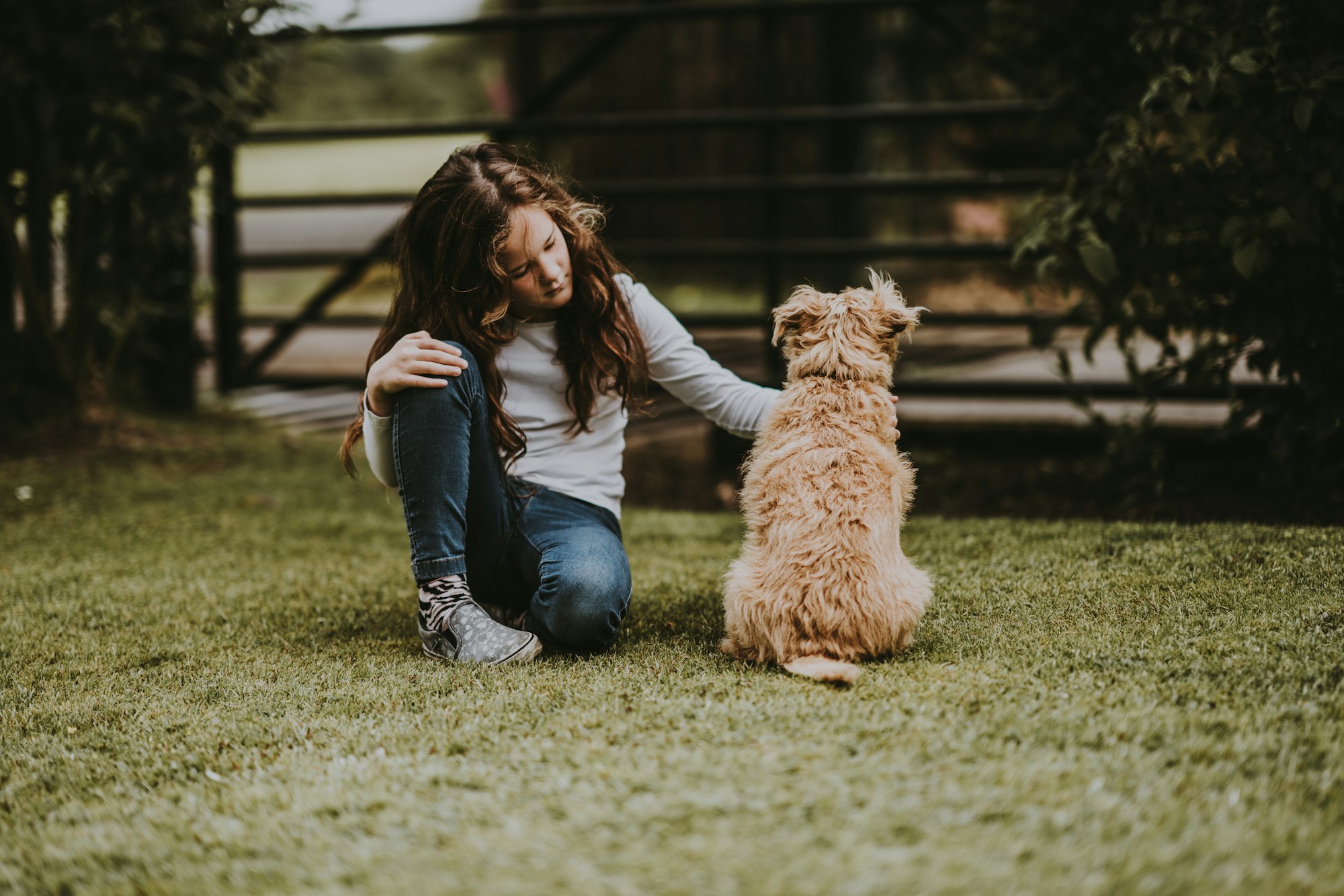 Girl petting dog