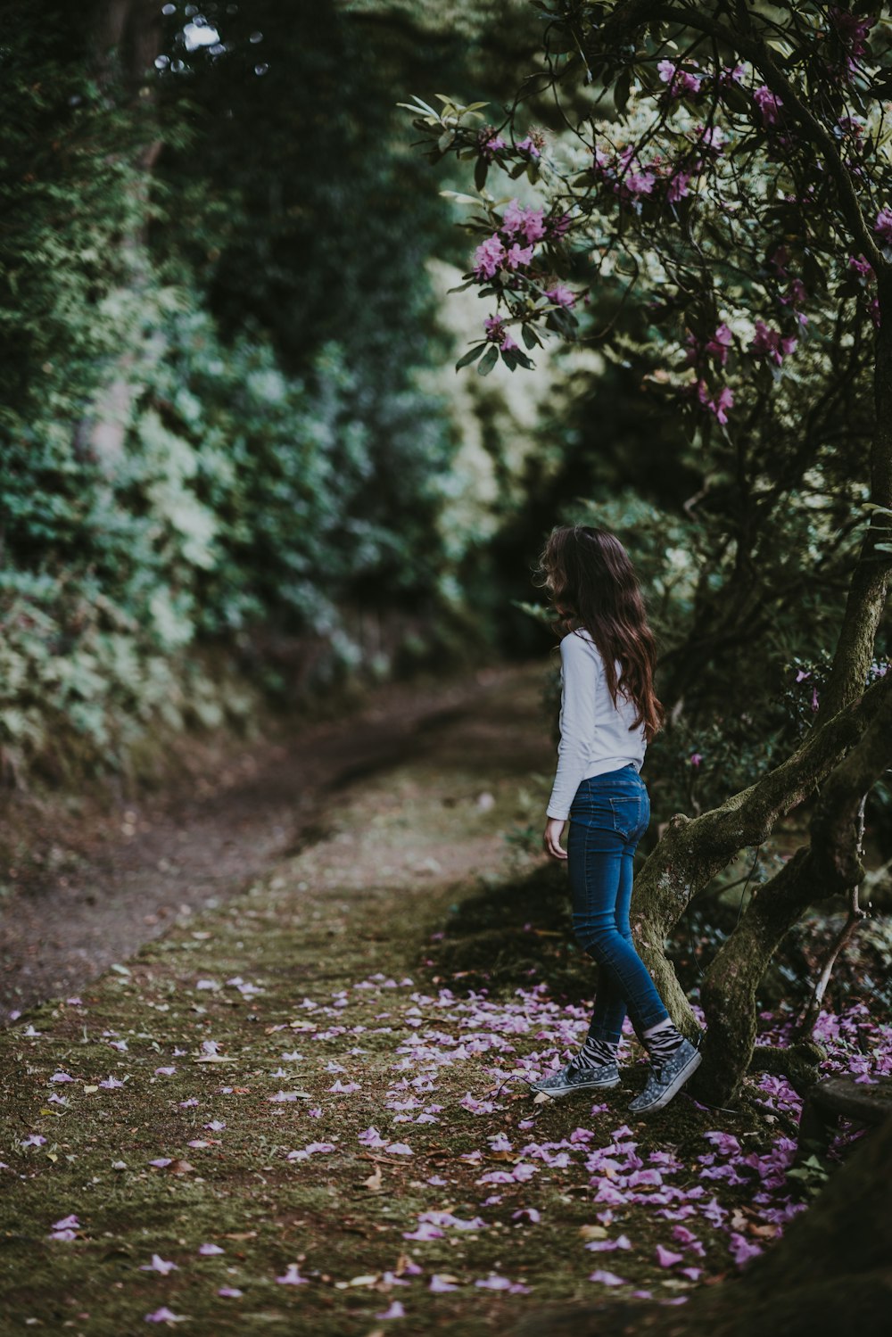 Mujer caminando por el sendero cerca de los árboles