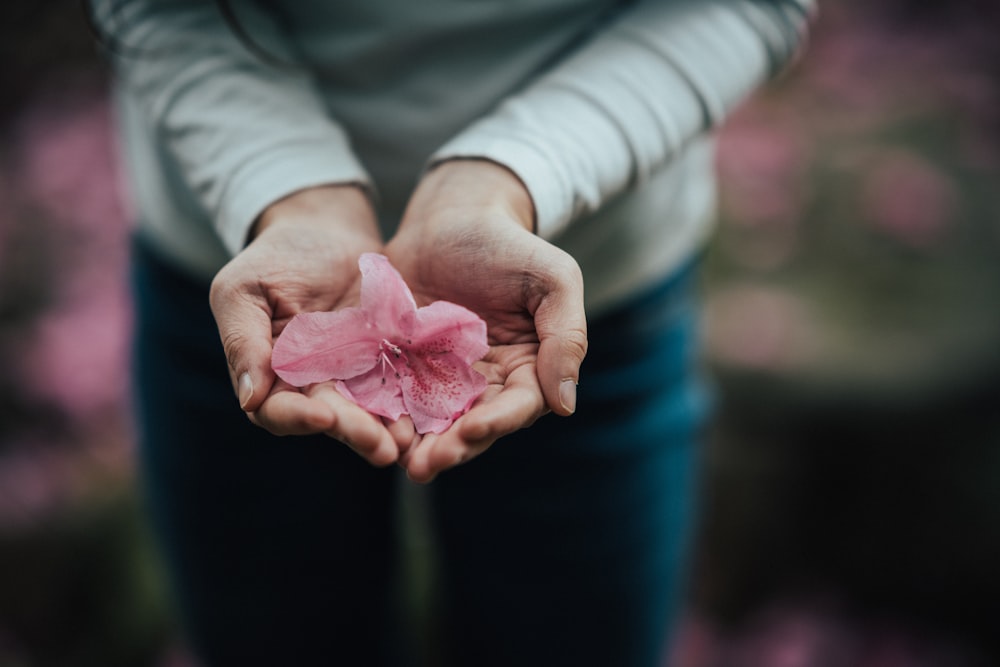 a person holding a pink flower in their hands