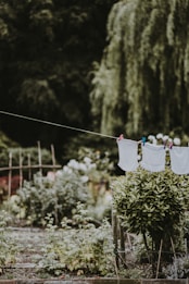 towel hanging on strip