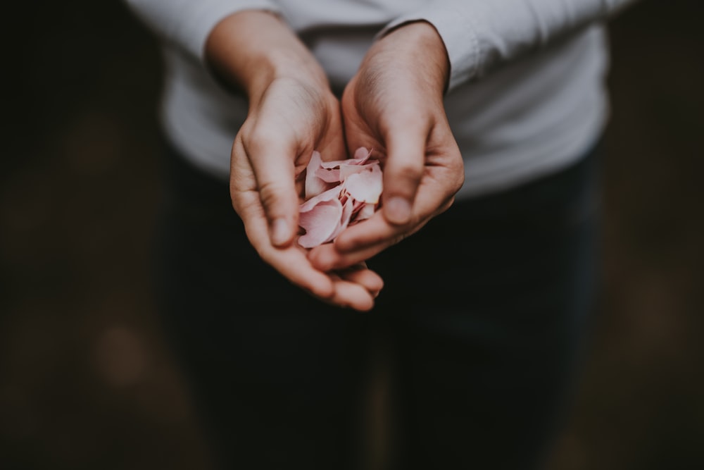 white petals on person's palm