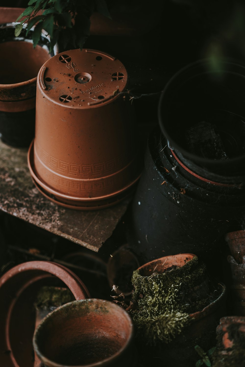 brown flower pots on brown wooden shelf