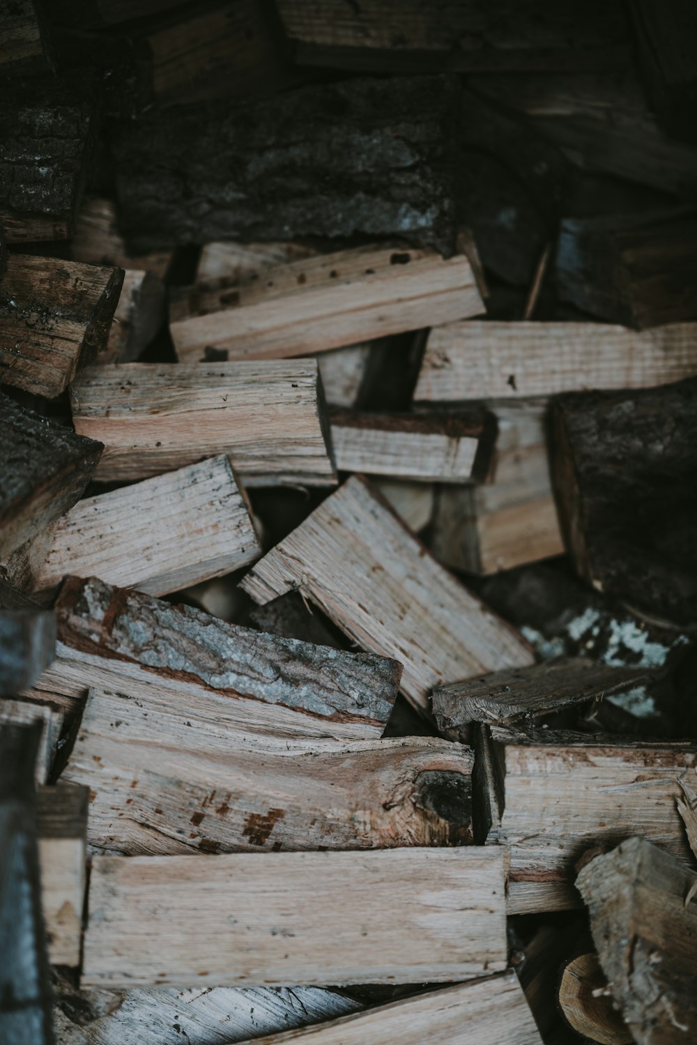 pile of firewood