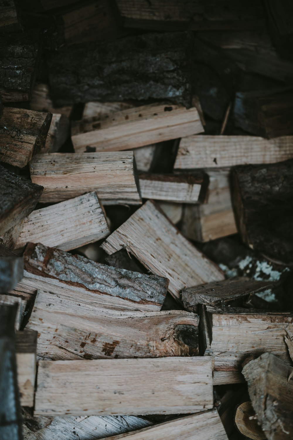 catasta di legna da ardere