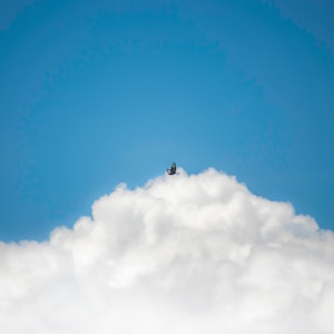 bird flying under blue cloudy sky