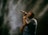 man holding microphone singing