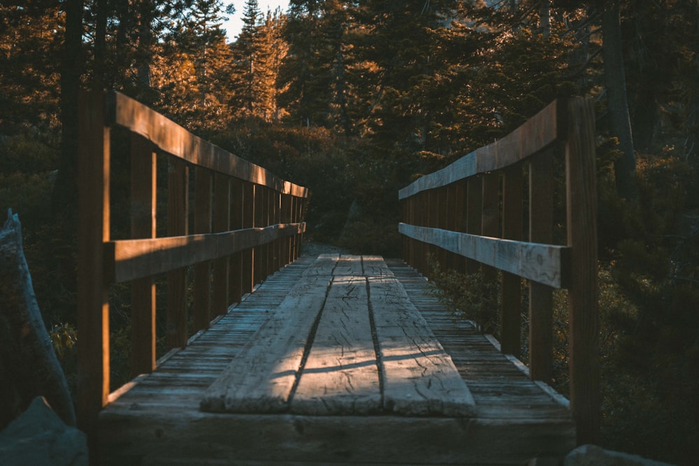 Puente de madera marrón en el bosque