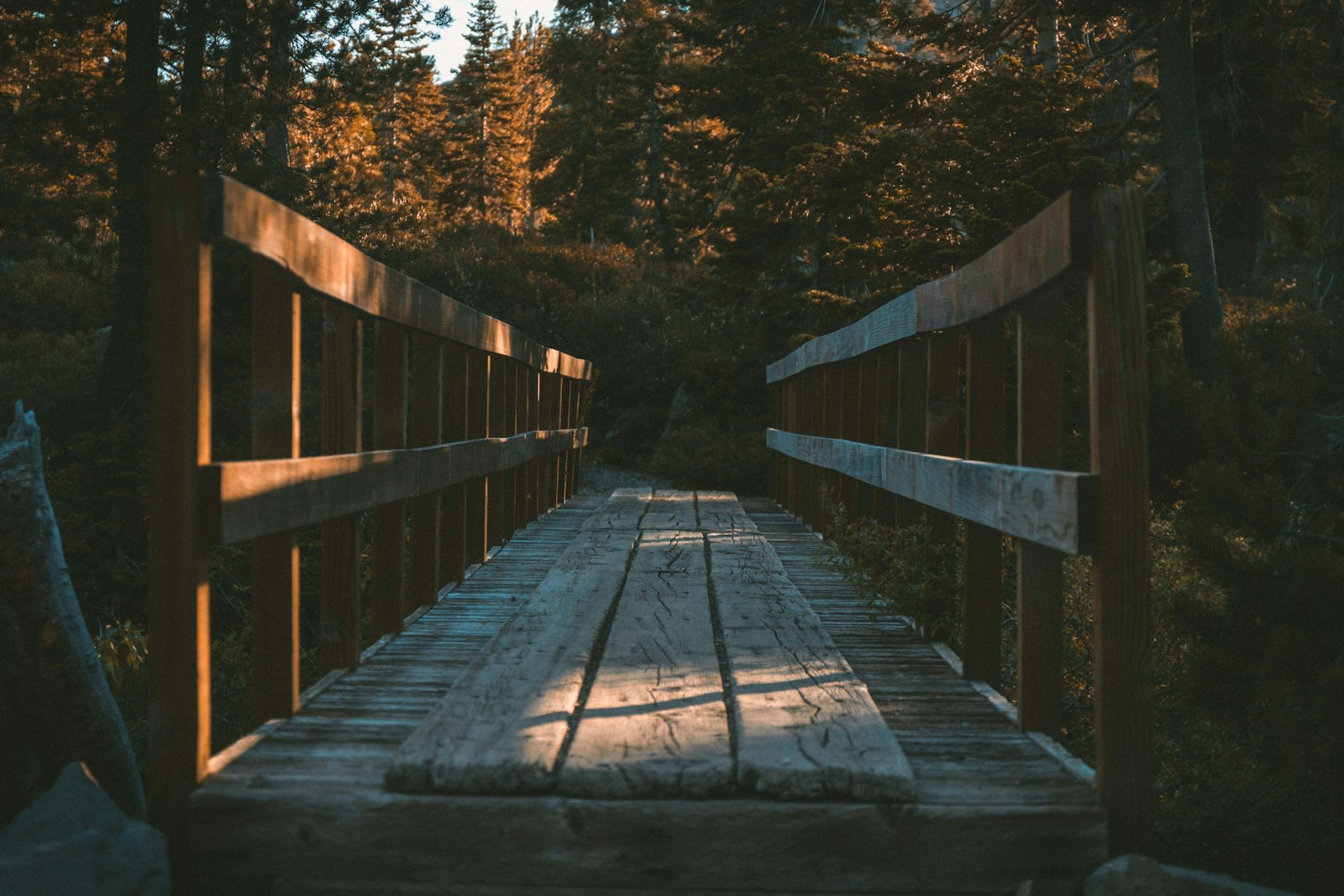 Tamron SP AF 17-50mm F2.8 XR Di II VC LD Aspherical (IF) sample photo. Brown wooden bridge in photography