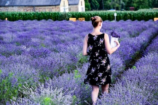 woman walking on purple lavender field