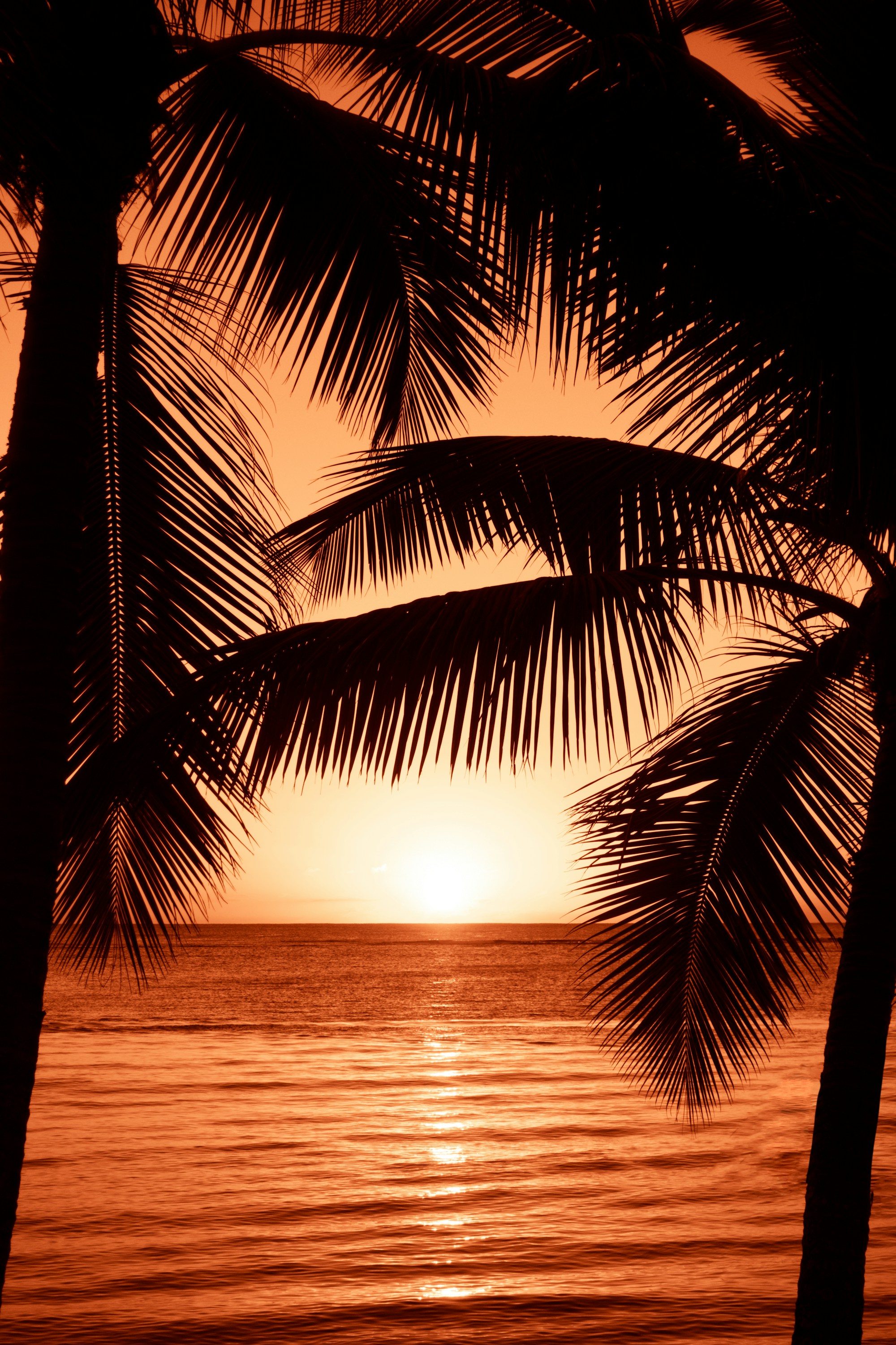 The Best Jamaica Weather: Ideal Seasons & Months to Visit