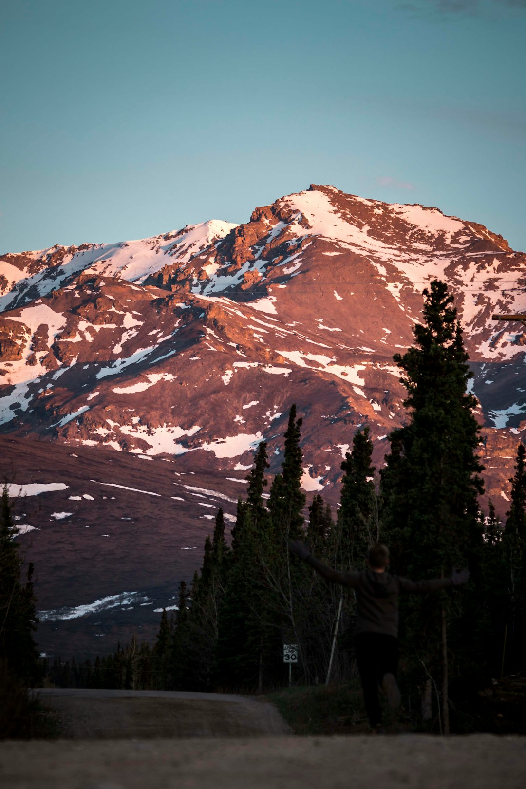 photo of brown mountain near trees