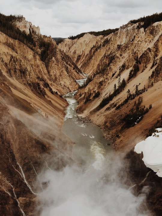 photo of valley of river in Yellowstone National Park United States