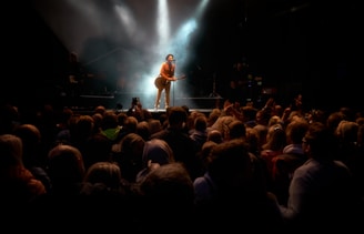 A performer stands on stage holding a guitar, illuminated by a spotlight, surrounded by smoky effects. There is a large crowd watching, with people raising their hands and taking photos.
