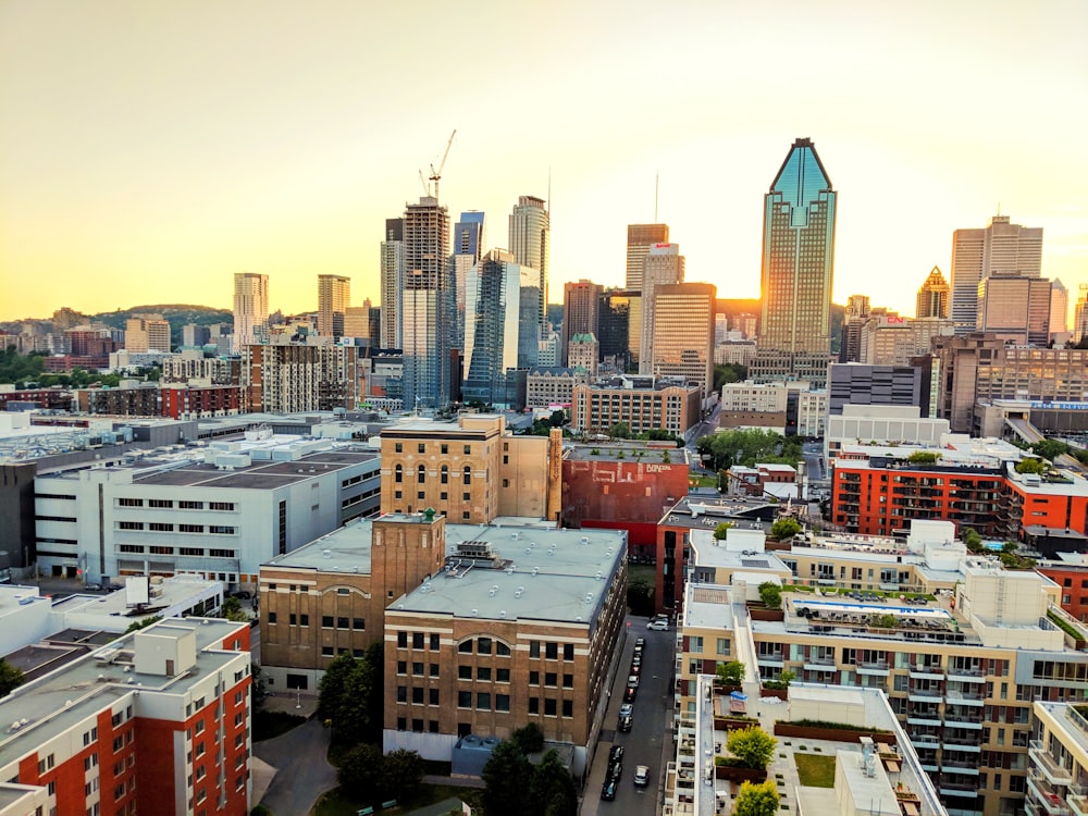 aerial view of high rise buildings