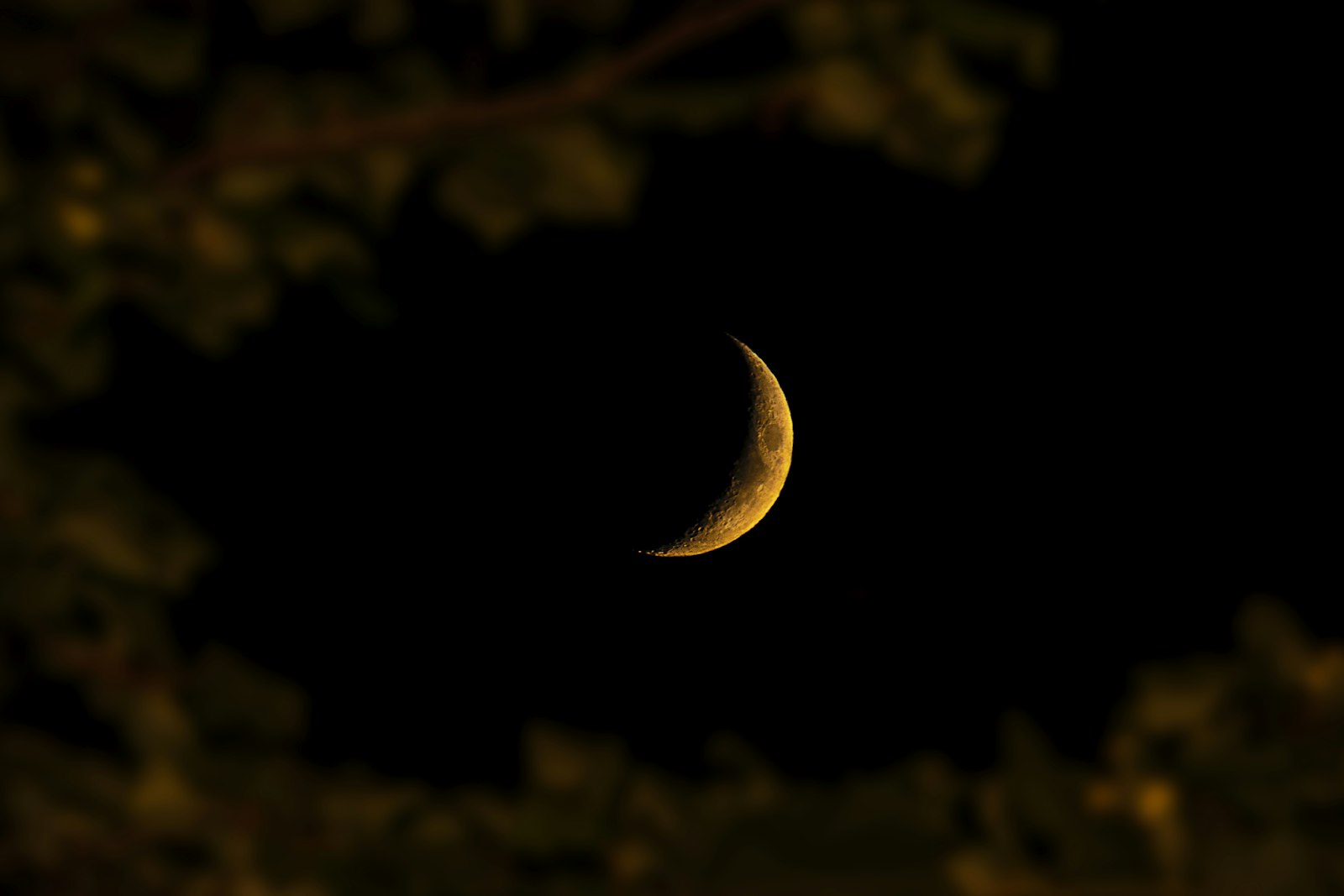 Canon EF-S 55-250mm F4-5.6 IS STM sample photo. Crescent moon photography