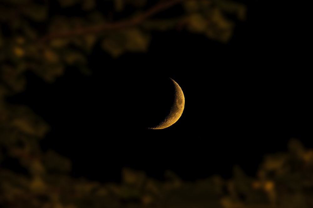 crescent moon