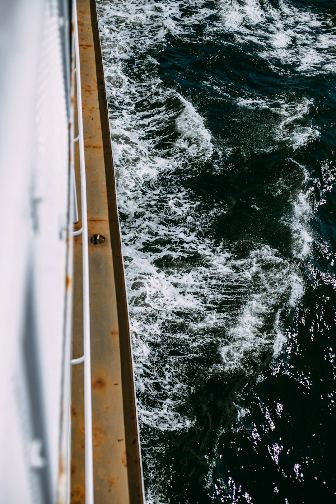 photo of Vancouver Island Sailing near Great Central Lake