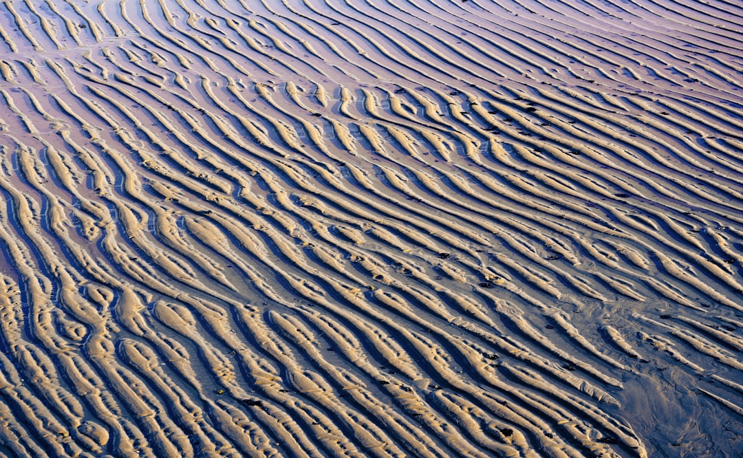 travelers stories about Dune in El Puerto de Santa María, Spain