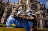 A medieval knight in full armor, including a shiny helmet and gauntlets, leans on a wooden fence. The knight wears a blue tunic with yellow emblems. The background features a large, ornate cathedral with detailed stone architecture and a rose window.