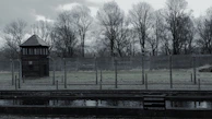 A misty landscape showing the barbed wire and watchtowers of the DMZ under a gray sky.