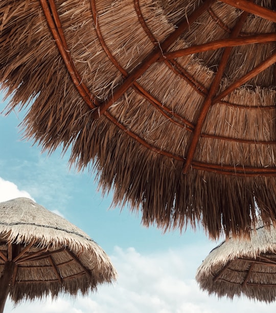 brown thatched roof in Playa del Carmen Mexico