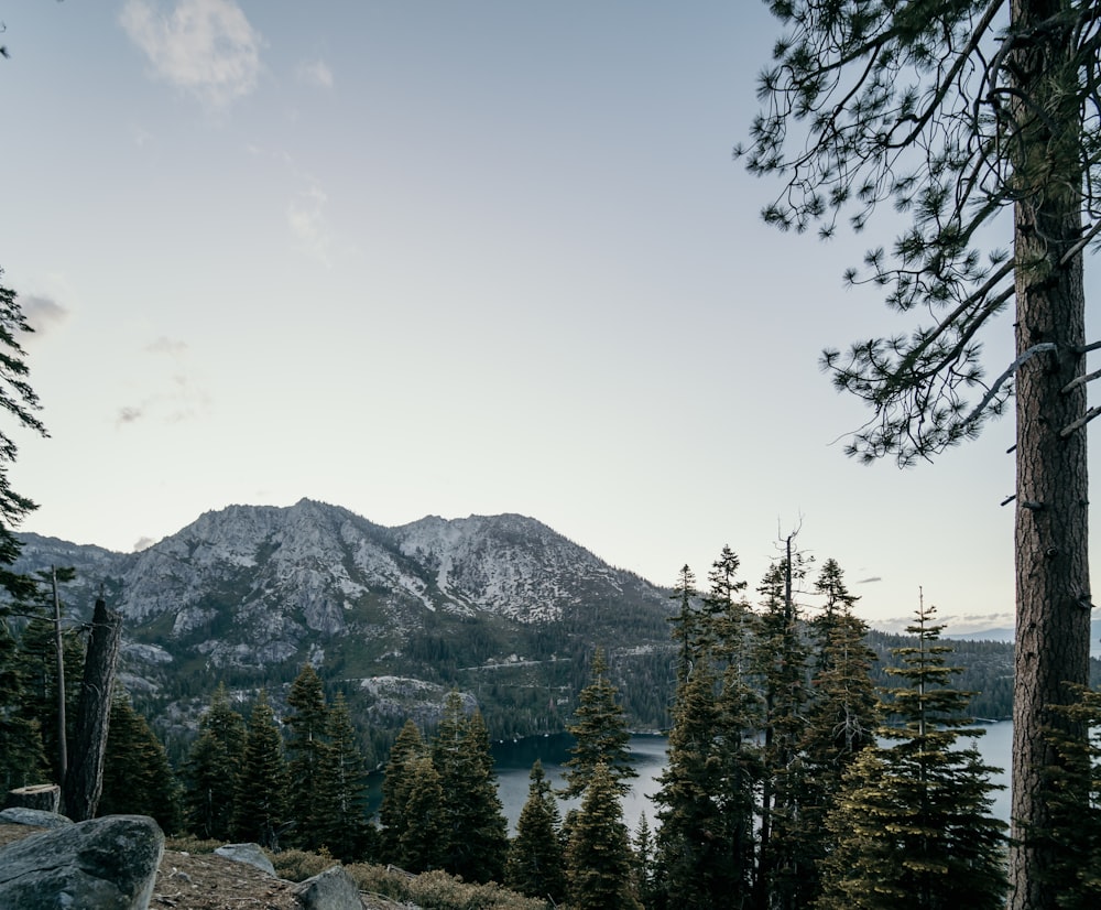 body of water across mountain