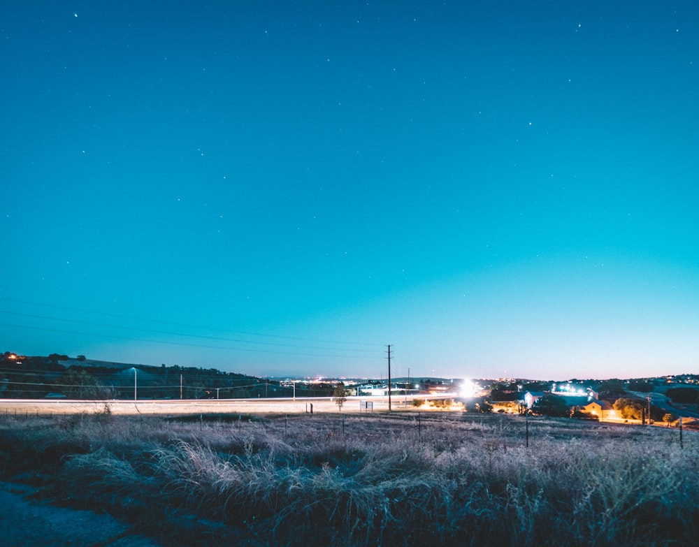 landscape photography of grey plants and a road