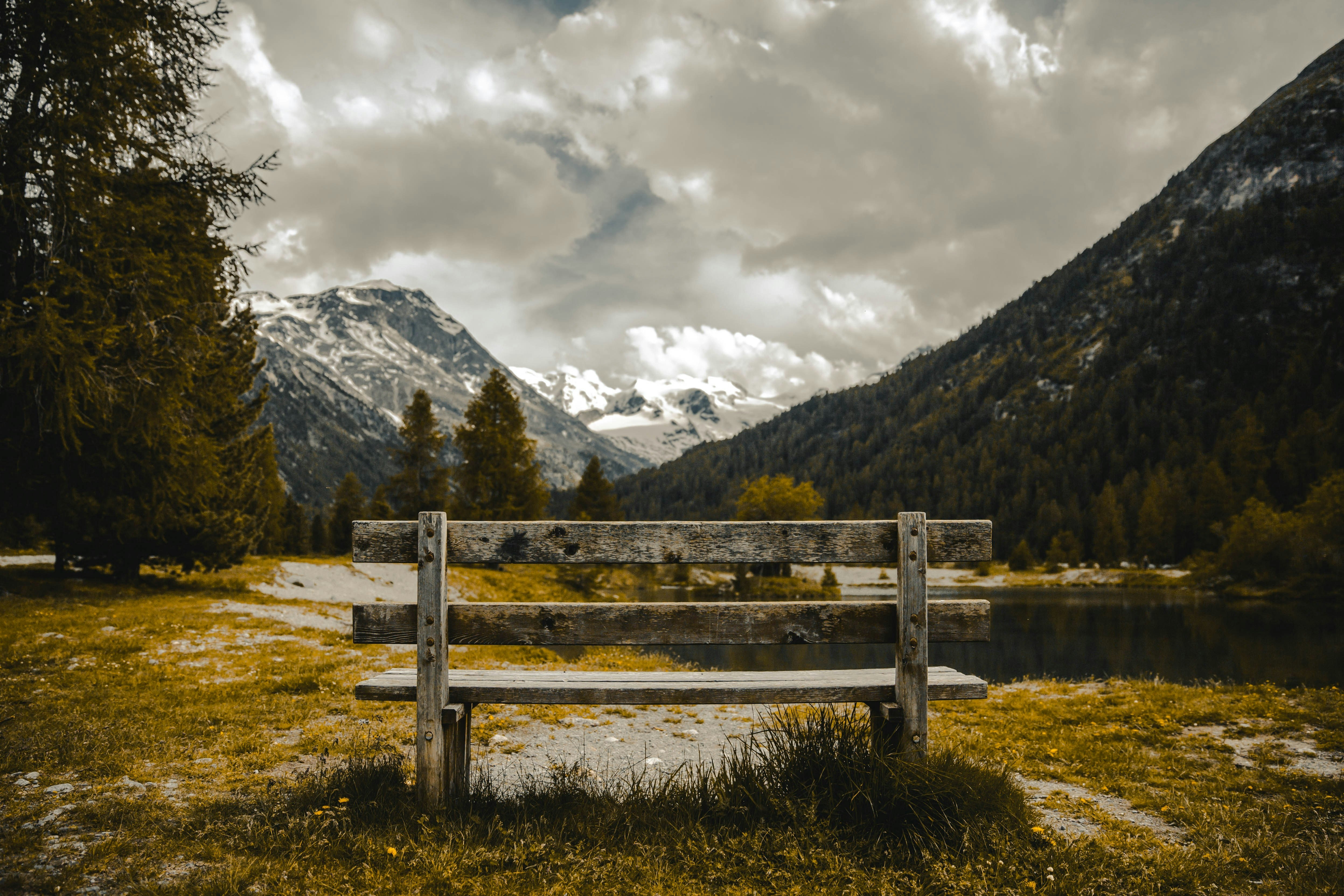 brown wooden bench