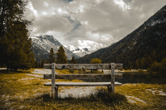 brown wooden bench in Morteratsch Glacier Switzerland