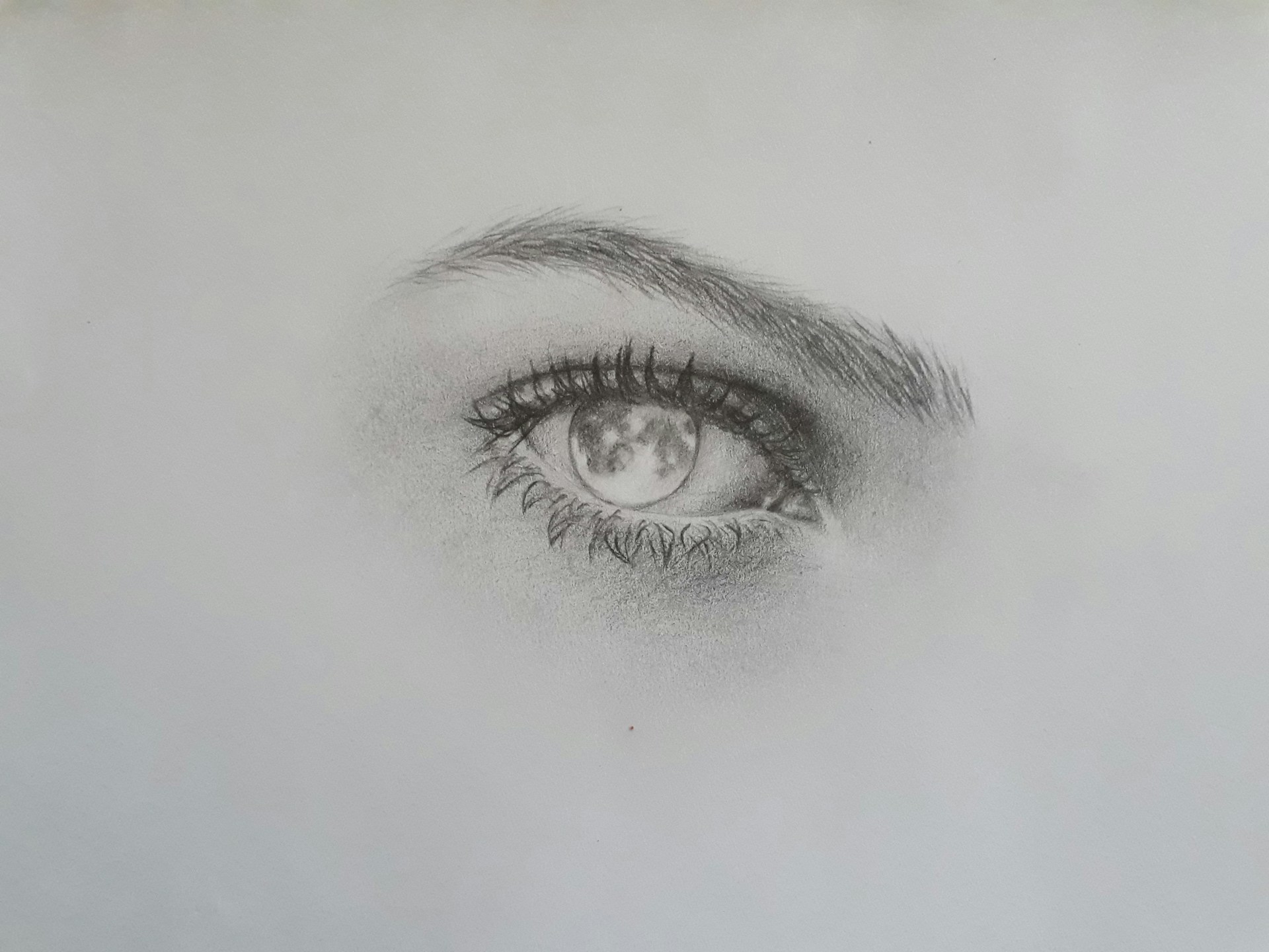 A close-up of Luna's detailed drawing, showcasing delicate lines and rich textures created with oil pastels.