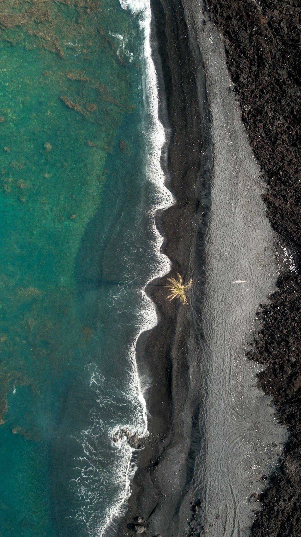 Fotografia aerea della spiaggia