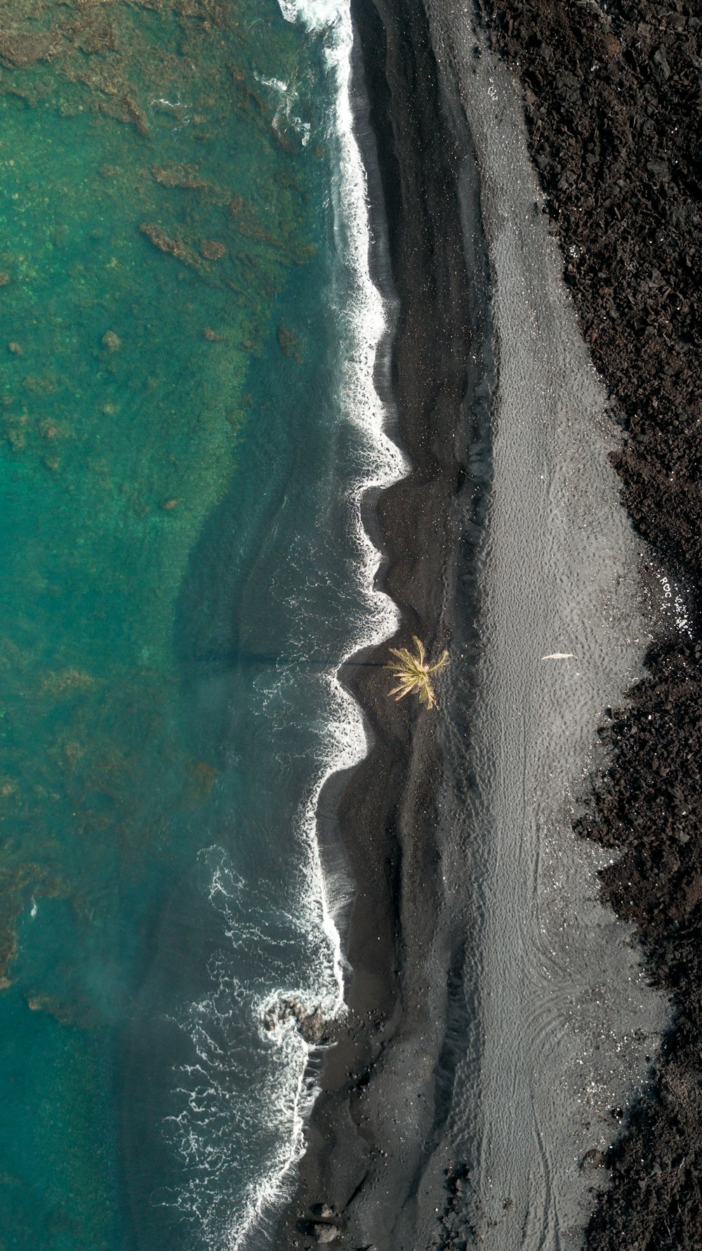 Photographie aérienne de bord de mer