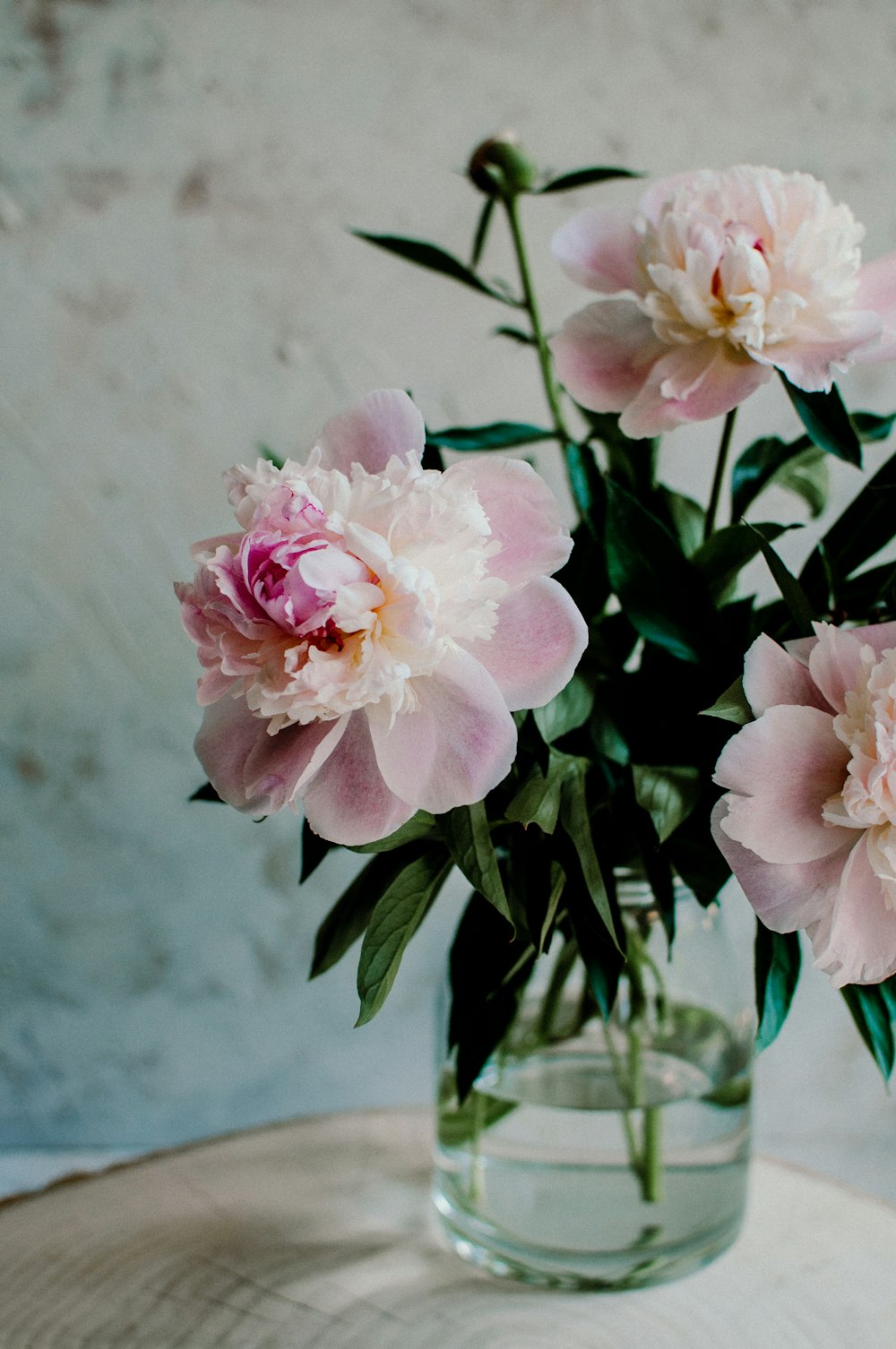 Flores de pétalas cor-de-rosa no vaso de vidro transparente