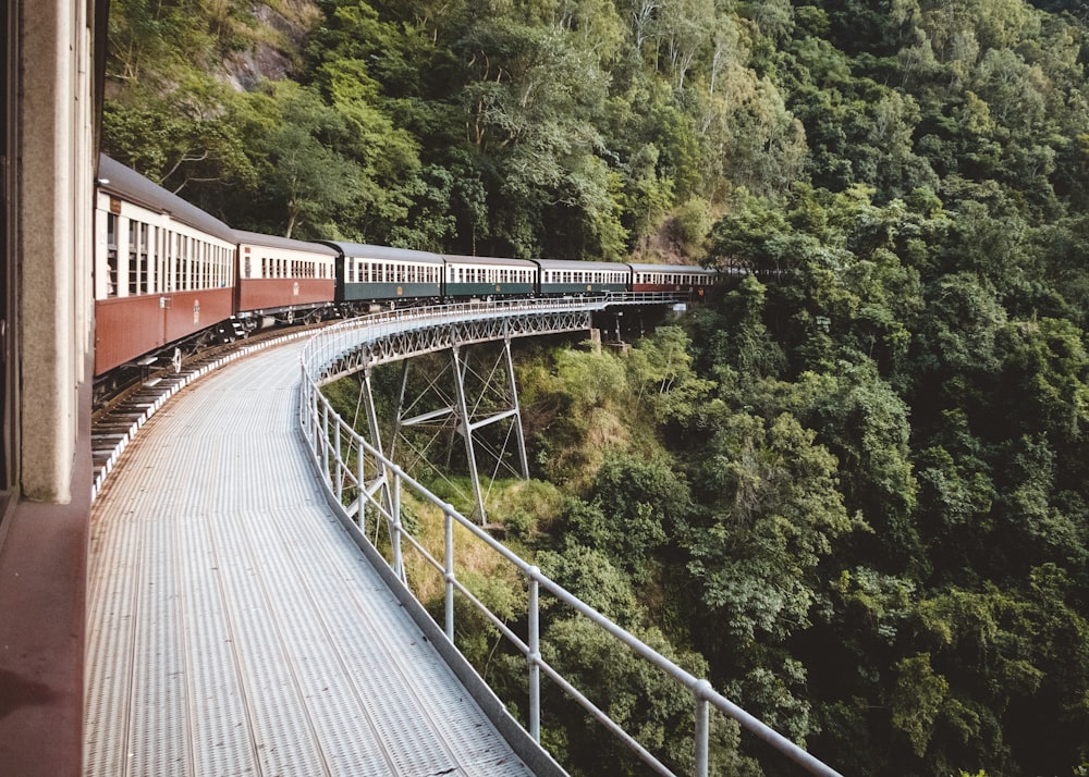 photo of brown, green, and white train near green leaf trees