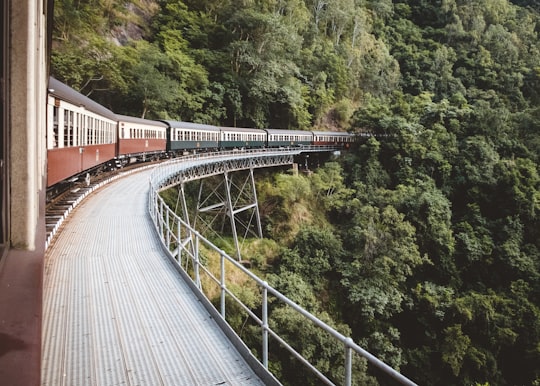 photo of brown, green, and white train near green leaf trees in Barron Gorge National Park Australia