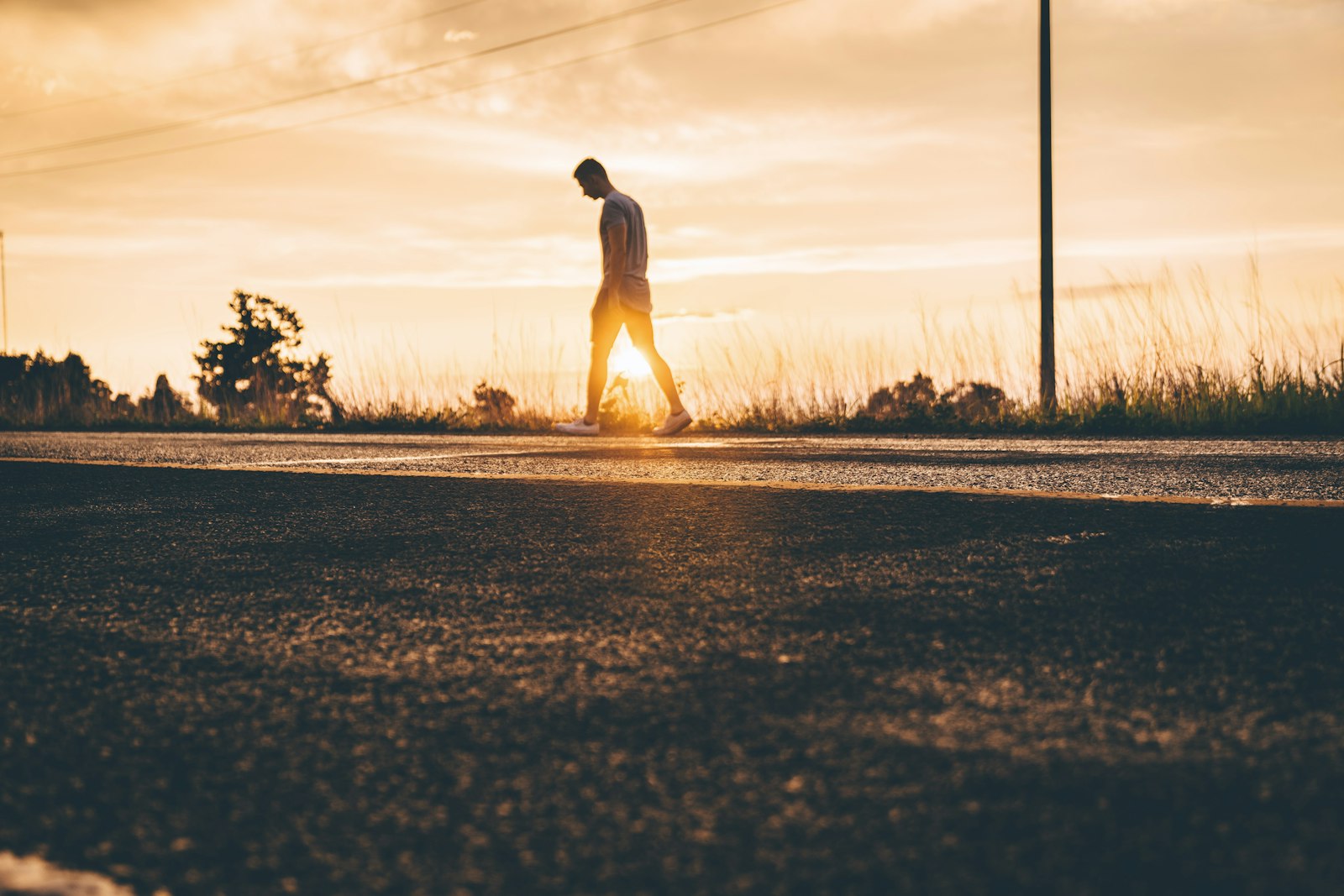 Sony a7 II + Sony FE 24-70mm F2.8 GM sample photo. Golden hour photography of photography