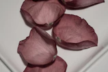 Delicate pastel pink rose petals falling gently on a clean white surface.