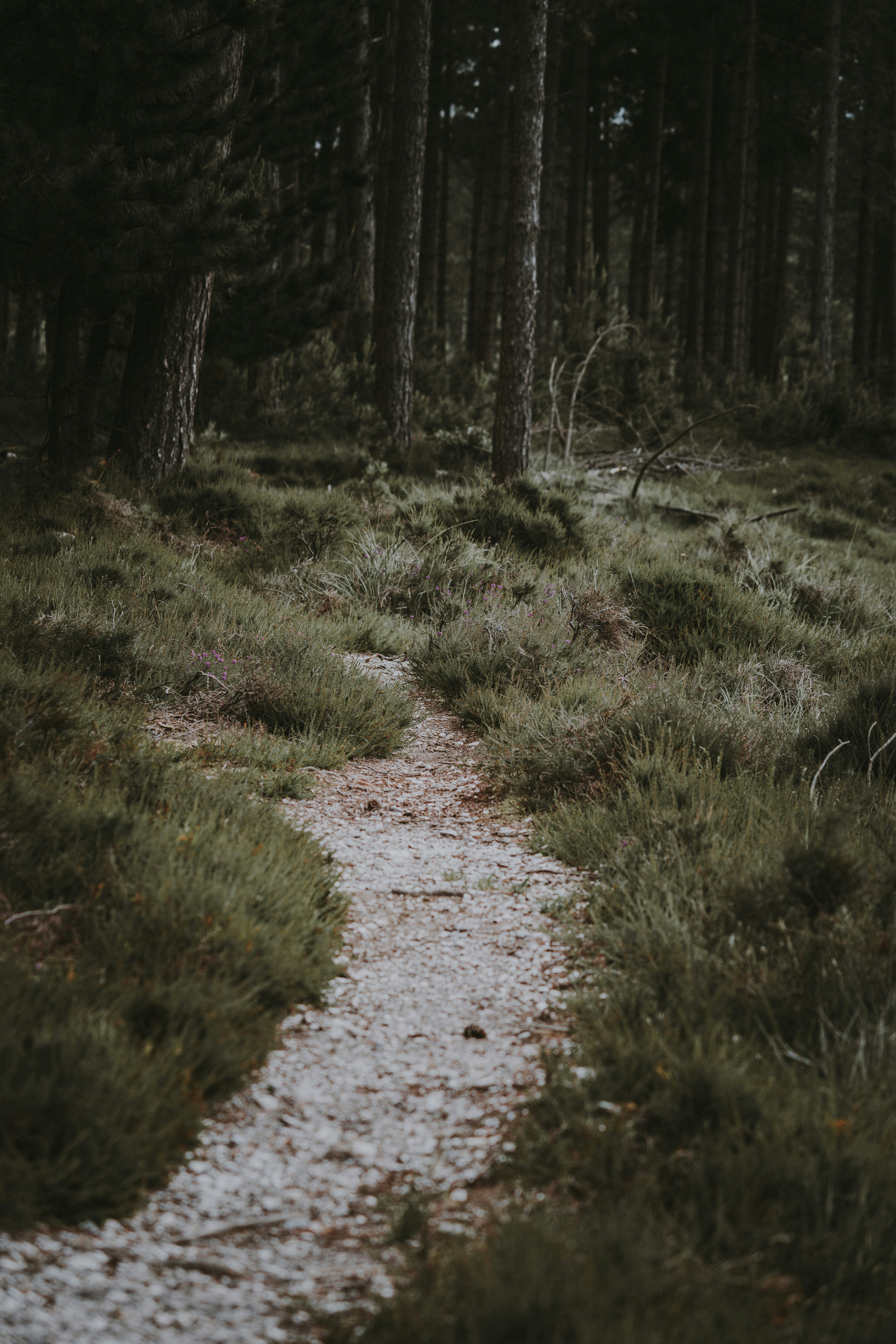 Photo by anniespratt