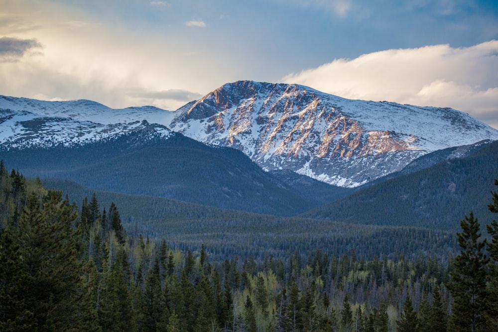 snow-covered mountains