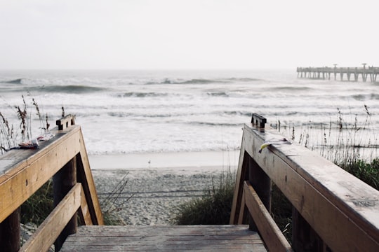 brown wooden handrails beside green plants in Jacksonville Beach United States