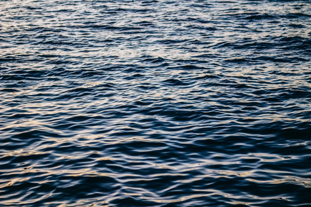 close-up photo of body of water