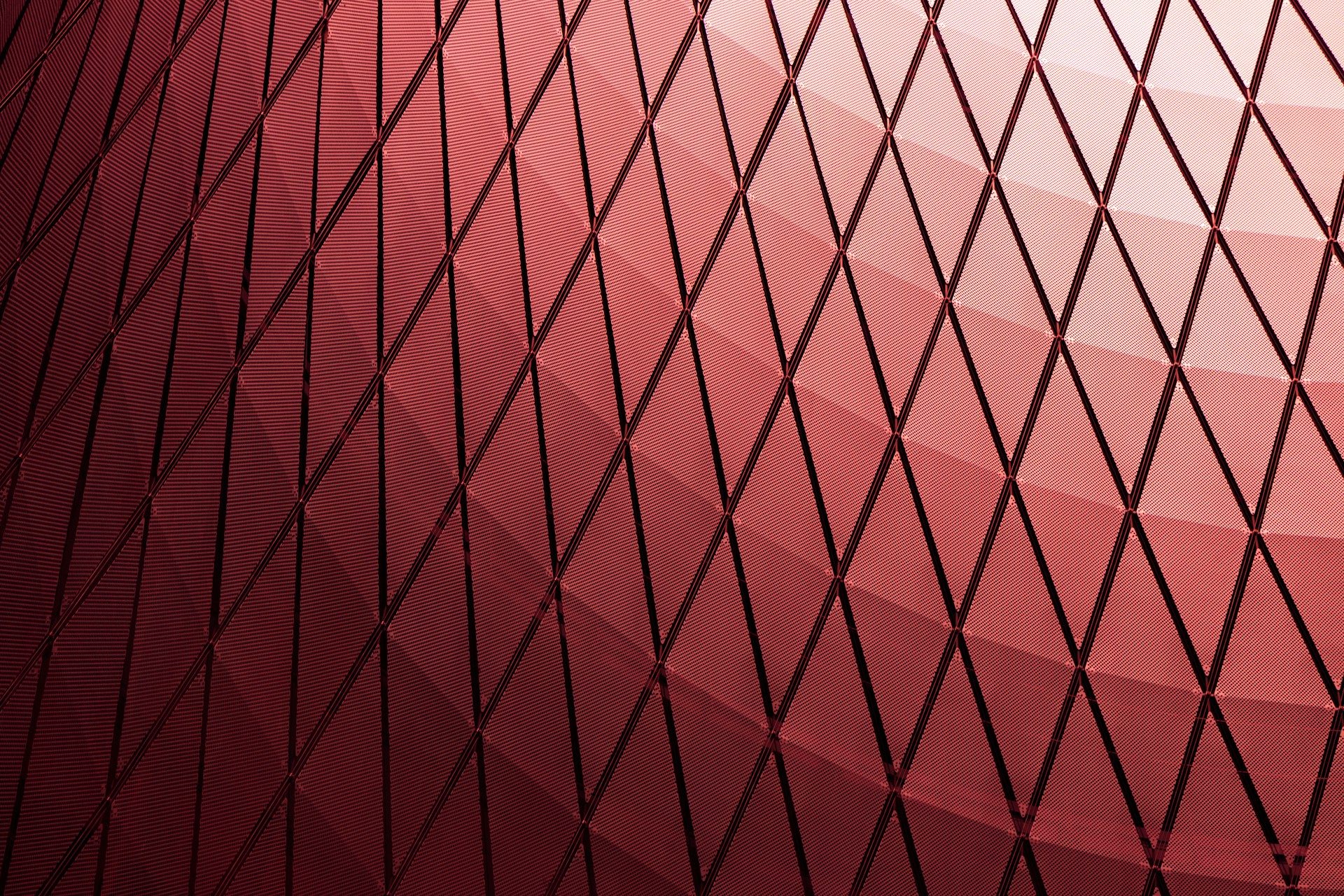 a close up of a net with a red background