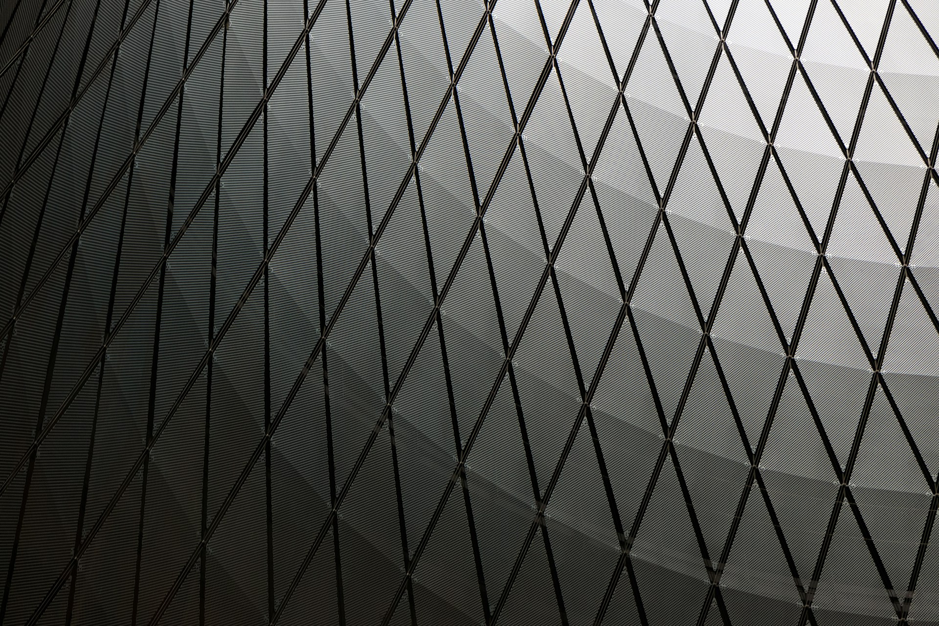 a black and white photo of a mesh wall