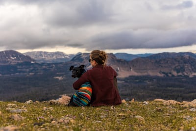 Observa a tu mascota cuando lo vistas